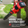 Brushless 40V 650 CFM Leaf Blower Kit