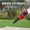 40V Brushless 530 CFM Leaf Blower Kit