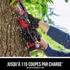 Kit de scie à élaguer sans balais de 20 V, 6 po